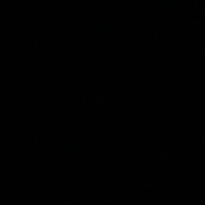 Meet your Posher, Daisha